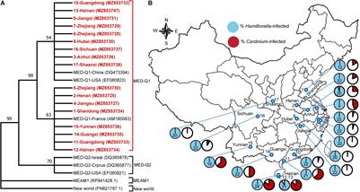 The Costs and Benefits of Two Secondary Symbionts in a Whitefly Host Shape Their Differential Prevalence in the Field